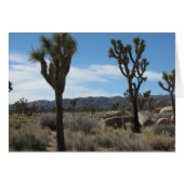 Joshua Tree National Park (Front Horizontal)