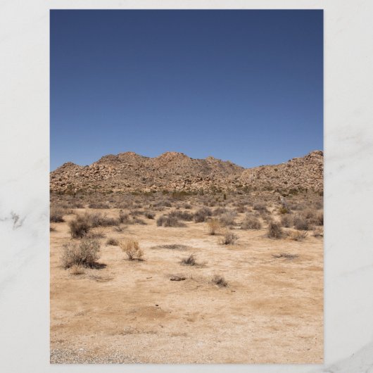 Joshua Tree National Park (Front)