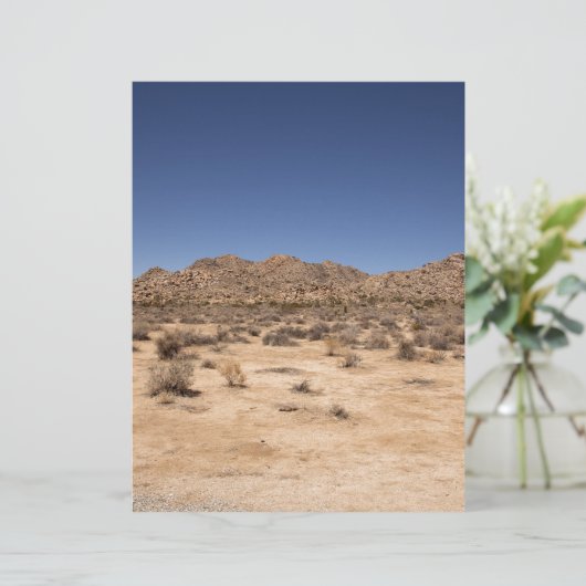 Joshua Tree National Park (Standing Front)