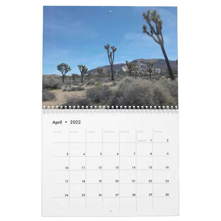 Joshua Tree National Park 2021 Calendar | Zazzle.com