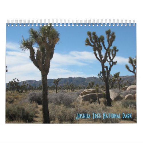 Joshua Tree National Park 2024 Calendar