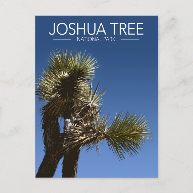 Joshua Tree National Park Branches Stylised Travel Postcard (Front)