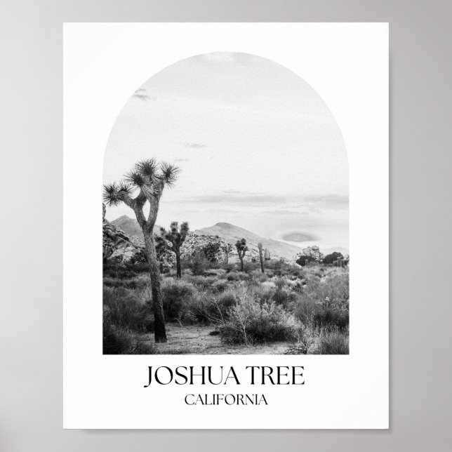 Joshua Tree National Park California Arch Photo Pr Poster (Front)