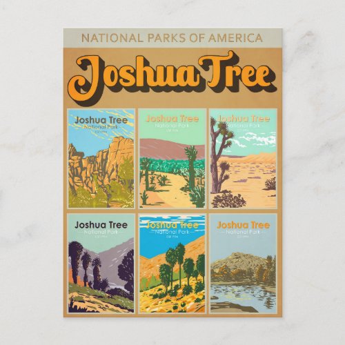 Joshua Tree National Park California Landmark Postcard