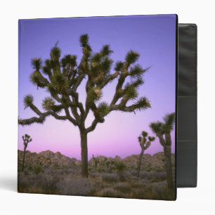 JOSHUA TREE NATIONAL PARK, CALIFORNIA. USA. 3 RING BINDER
