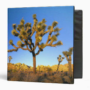 Joshua Tree National Park, California. USA. 3 Ring Binder