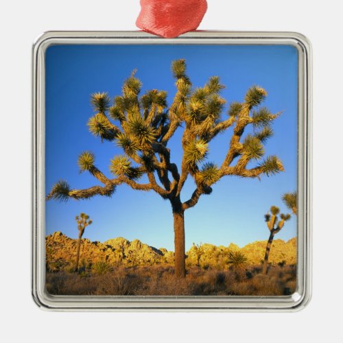 Joshua Tree National Park California USA Metal Ornament