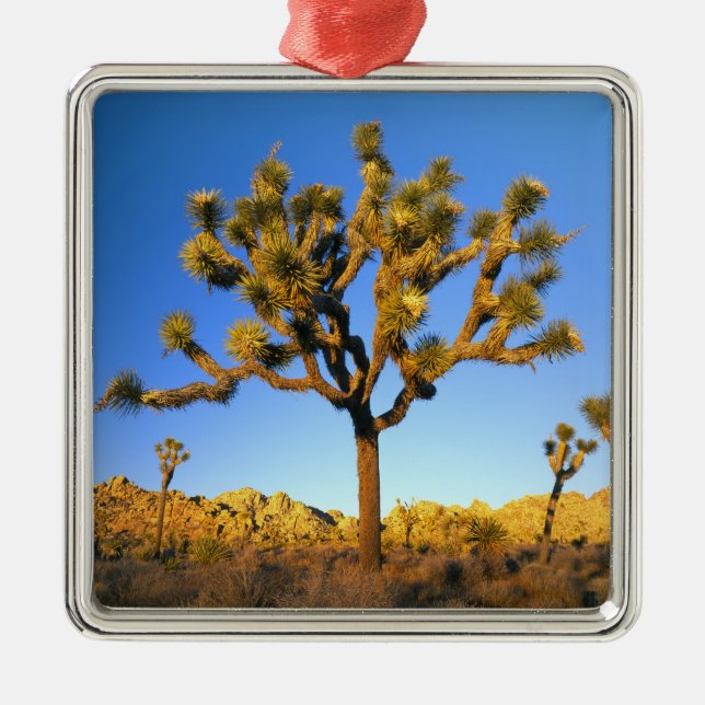 Joshua Tree National Park, California. USA. Metal Ornament (Front)