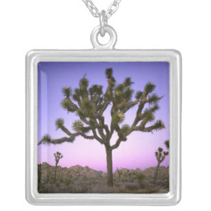 JOSHUA TREE NATIONAL PARK, CALIFORNIA. USA. SILVER PLATED NECKLACE