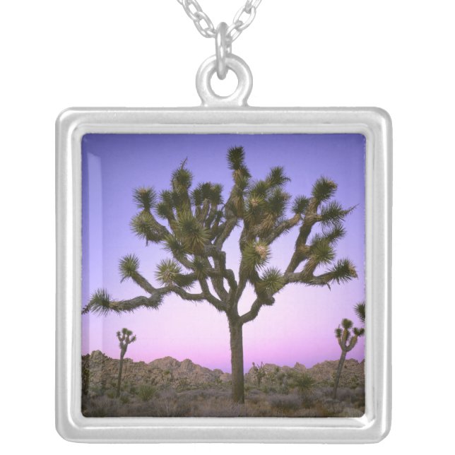 JOSHUA TREE NATIONAL PARK, CALIFORNIA. USA. SILVER PLATED NECKLACE (Front)