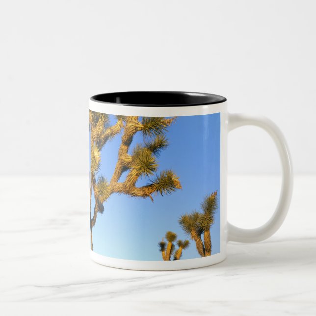 Joshua Tree National Park, California. USA. Two-Tone Coffee Mug (Right)