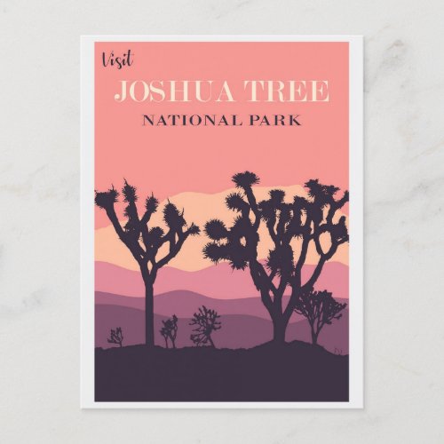 Joshua Tree National Park California Vintage Pink Postcard