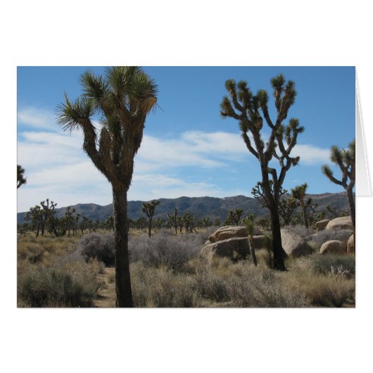 Joshua Tree National Park Cards (Front Horizontal)