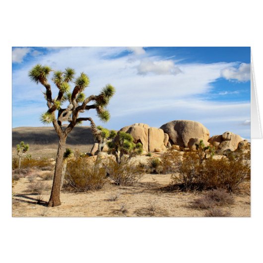 Joshua Tree National Park Cards (Front Horizontal)