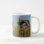 Joshua Tree National Park Desert Landscape Coffee Mug