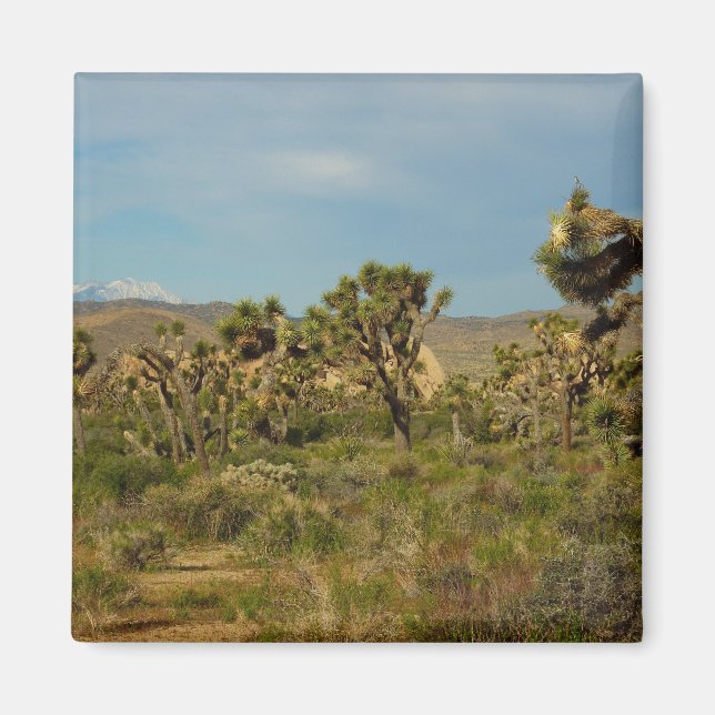 Joshua Tree National Park Desert Landscape Magnet (Front)
