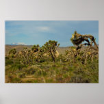 Joshua Tree National Park Desert Landscape Poster