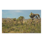 Joshua Tree National Park Desert Landscape Rectangular Sticker