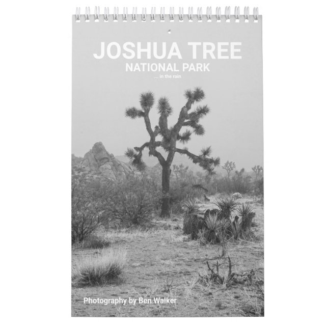 Joshua Tree National Park ... In the Rain Calendar (Cover)