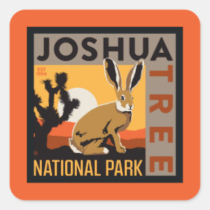 Joshua Tree National Park   Jackrabbit Square Sticker