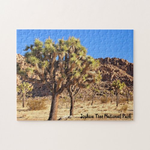 Joshua Tree National Park Jigsaw Puzzle