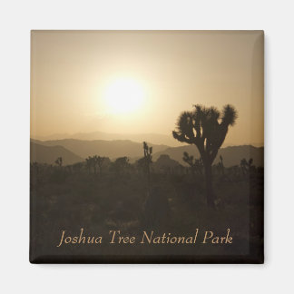 Joshua Tree National Park Magnet