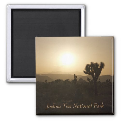 Joshua Tree National Park Magnet