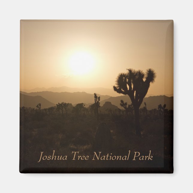 Joshua Tree National Park Magnet (Front)