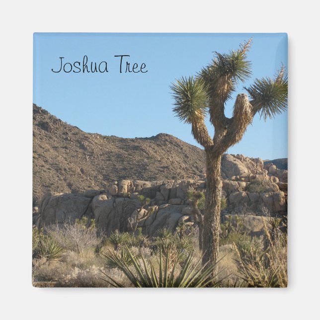 Joshua Tree National Park Magnet (Front)