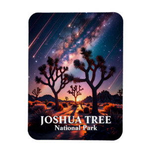Joshua Tree National Park Night Sky Milky Way Magnet