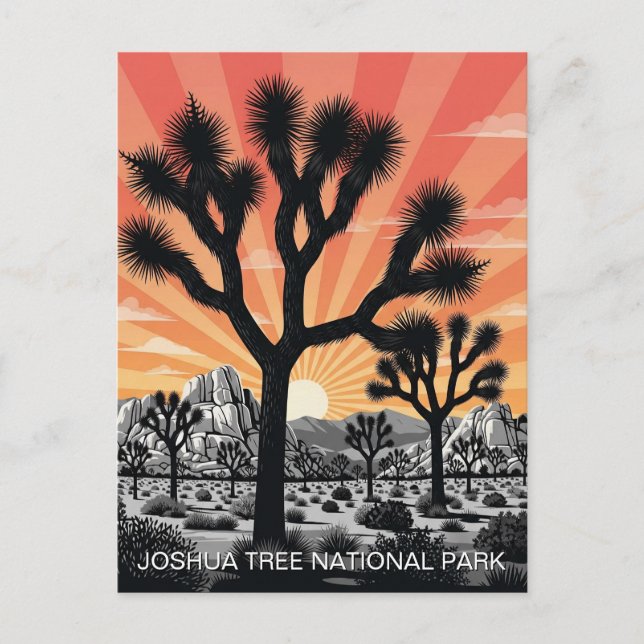 Joshua Tree National Park Postcard (Front)