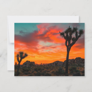 Joshua Tree National Park Postcard
