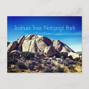 Joshua Tree National Park Postcard