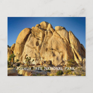 Joshua Tree National Park Postcard