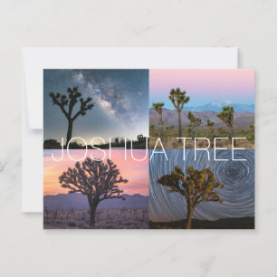 Joshua Tree National Park Postcard