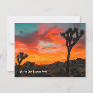 Joshua Tree National Park Postcard