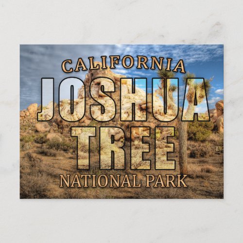 Joshua Tree National Park Postcard