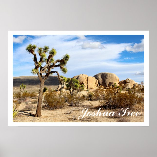 Joshua Tree National Park Poster (Front)