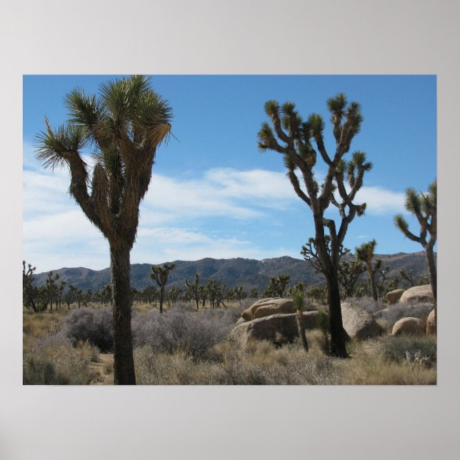 Joshua Tree National Park Poster (Front)