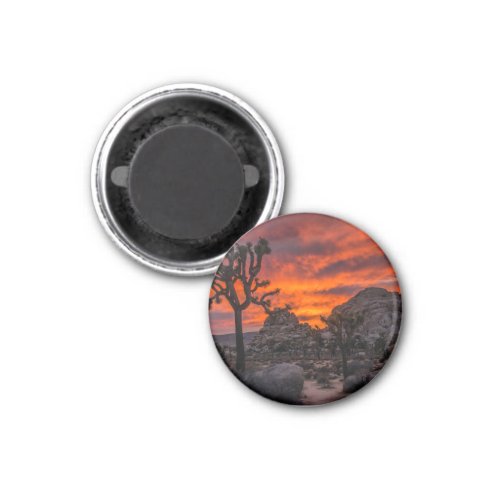 Joshua Tree National Park Red Sunset Magnet