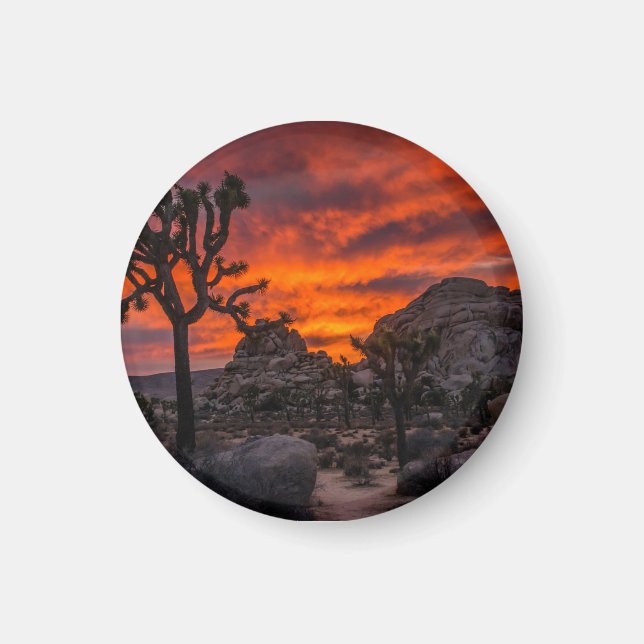 Joshua Tree National Park Red Sunset Magnet (Front)