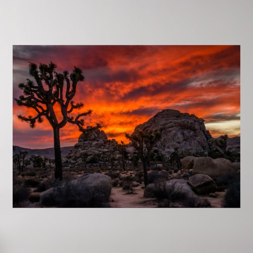 Joshua Tree National Park Red Sunset Poster