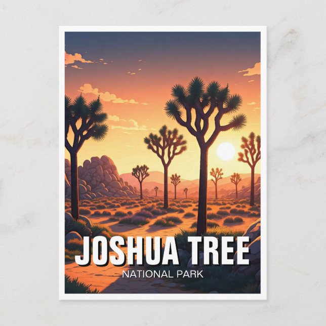 Joshua Tree National Park Souvenir Postcard (Front)