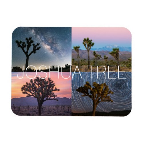 Joshua Tree National Park Sunset Night Landscape Magnet