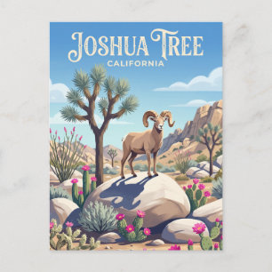 Joshua Tree National Park USA Postcard
