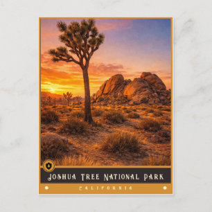 Joshua Tree National Park Vintage Postcard