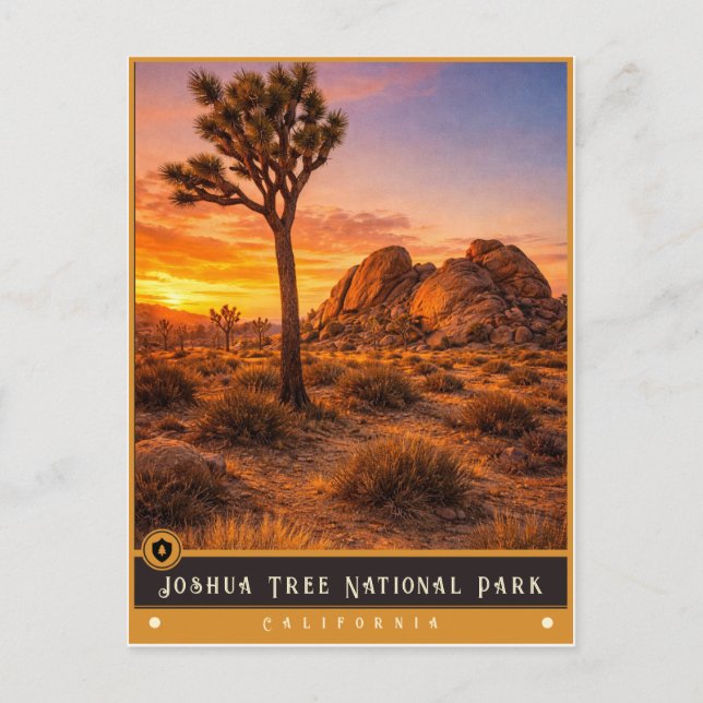 Joshua Tree National Park | Vintage Postcard (Front)