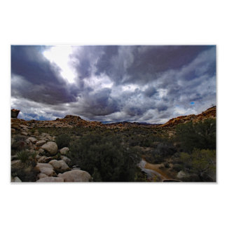 Joshua Tree Photo Print