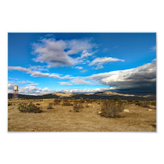 Joshua Tree Photo Print