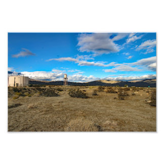 Joshua Tree Photo Print